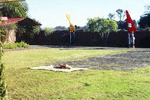 Waitangi Tribunal Return of Hauraki Report (2)_thumb.gif